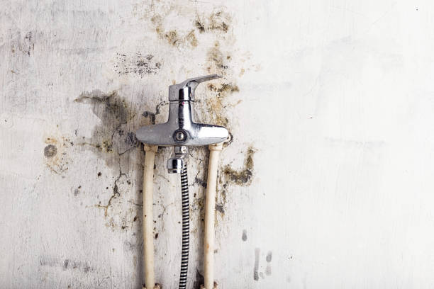 Best Toxic Mold Removal  in Hurricane, UT
